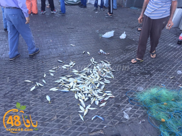 mina2 yaffaj3 (7).jpg